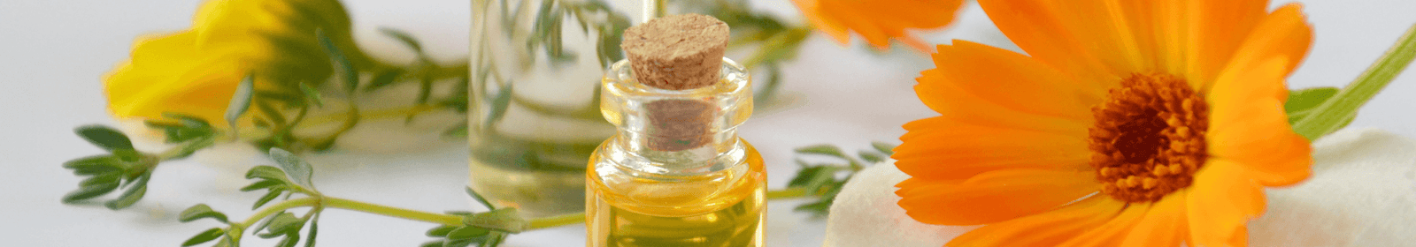 FITOCOSMESI NATURALE | LA PORTA DEI SAPORI