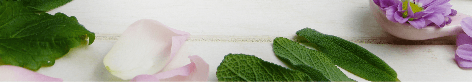 LINEA CORPO | LA PORTA DEI SAPORI