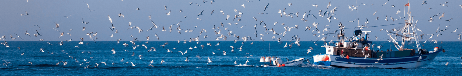 MARE | LA PORTA DEI SAPORI