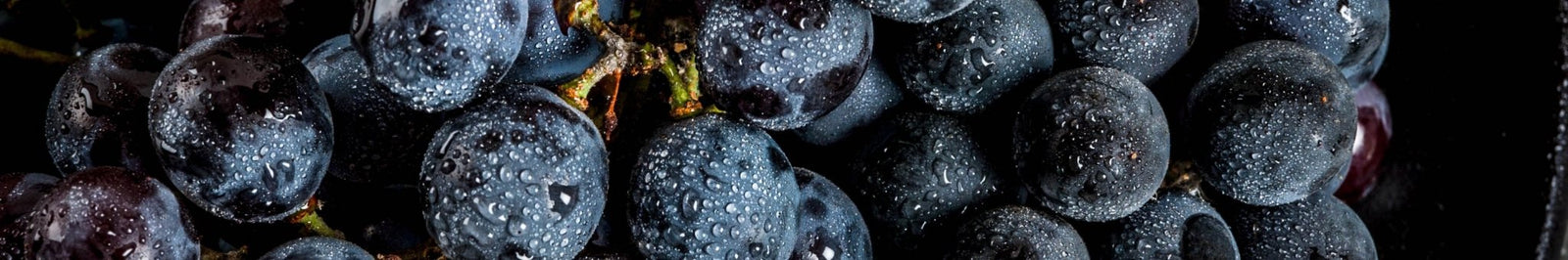 VINI ROSSI RIVIERA LIGURE DI PONENTE | LA PORTA DEI SAPORI